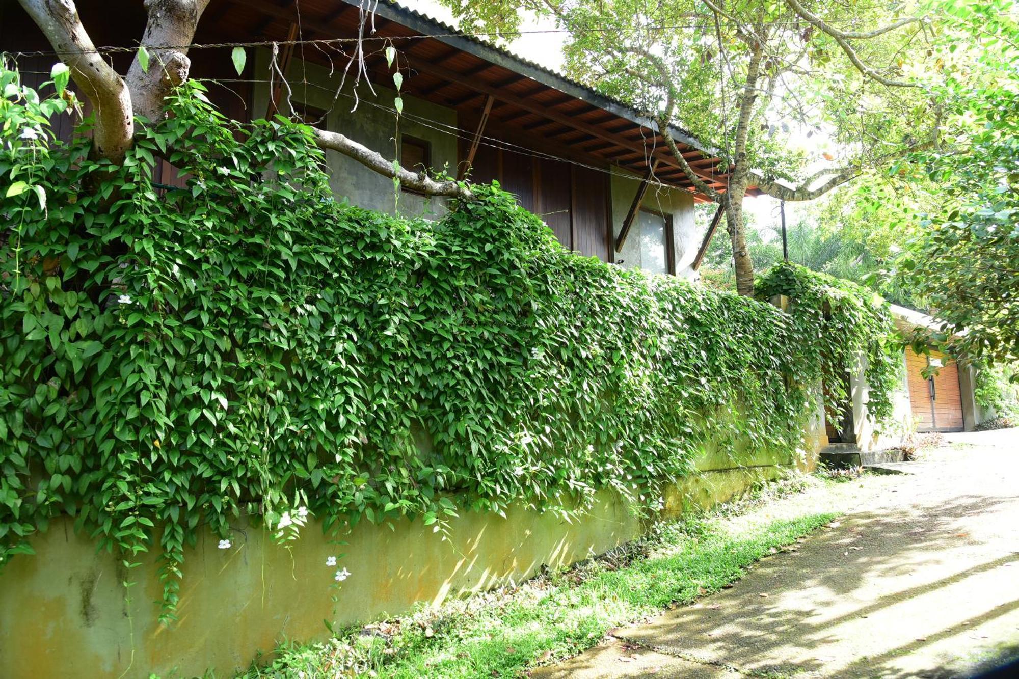Hikka Secret Lake Resort Hikkaduwa Exterior photo